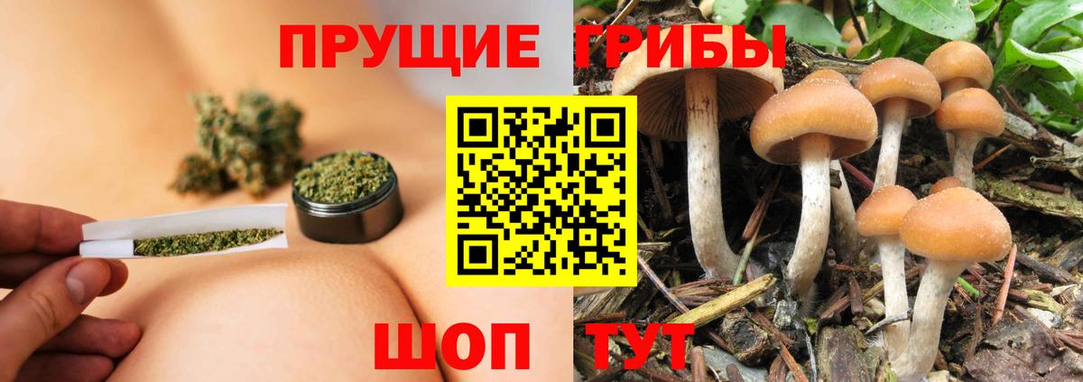 Галлюциногенные грибы MAGIC MUSHROOMS  Вход с VPN  Усть-Джегута  Галлюциногенные грибы Psilocybe 